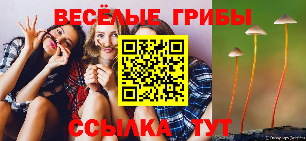 Галлюциногенные грибы мухоморы  Вход с VPN  Выкса 